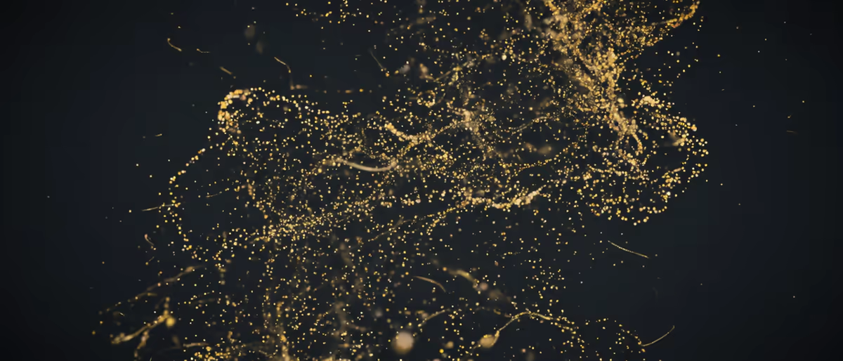 Soundtoys SpaceBlender: wyimaginowana przestrzeń, nie v2 (2026)