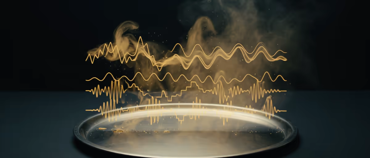 Vaporizer 2 za darmo kontra Vital: kiedy użyć którego (2026)
