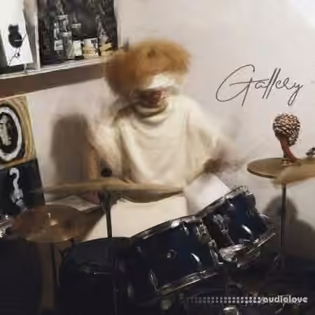 Ardist & mTwenty Gallery Drumkit [WAV]