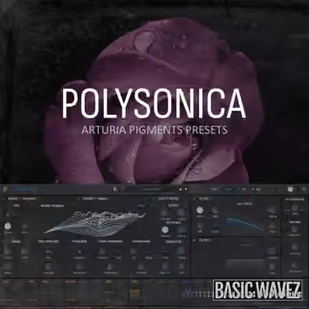Basic Wavez Polysonica Arturia Pigments Presets For Melodic House And Techno [Synth Presets]
