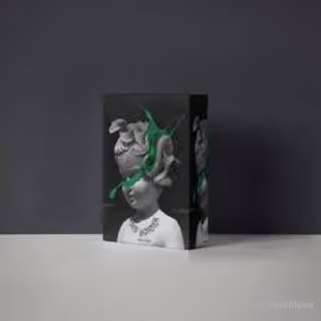BELDONDIDTHAT Drip Harder (Loop Kit) [WAV]