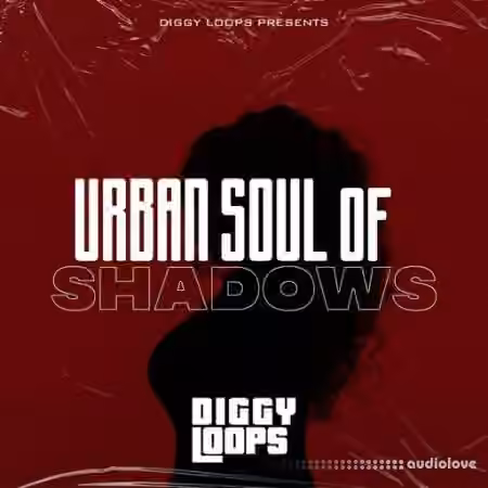 Big Citi Loops Urban Soul Of Shadows [WAV]