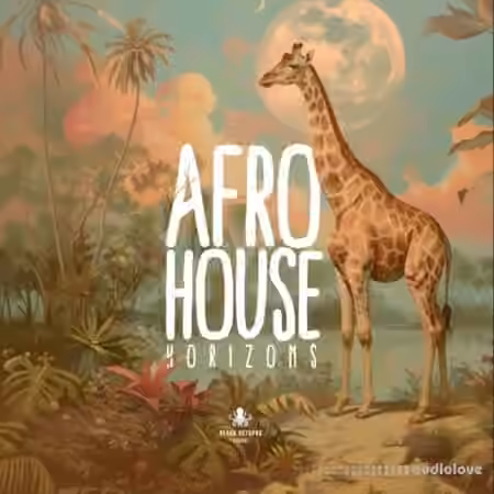 Black Octopus Sound Afro House Horizons [WAV, Synth Presets] - Sample Pack Artwork
