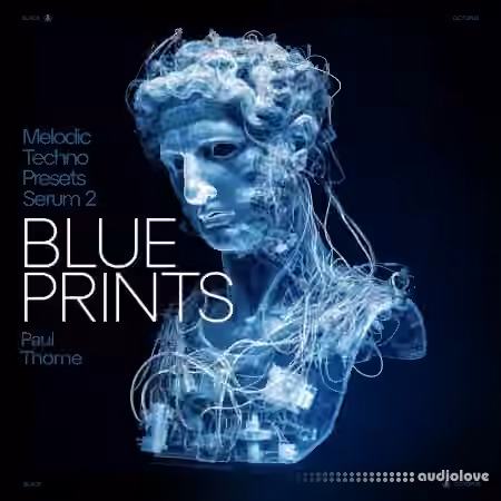 Black Octopus Sound Blueprints Melodic Techno for Serum 2 by Paul Thorne [Synth Presets]