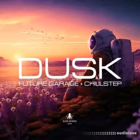 Black Octopus Sound Dusk Future Garage and Chillstep [WAV, Synth Presets]