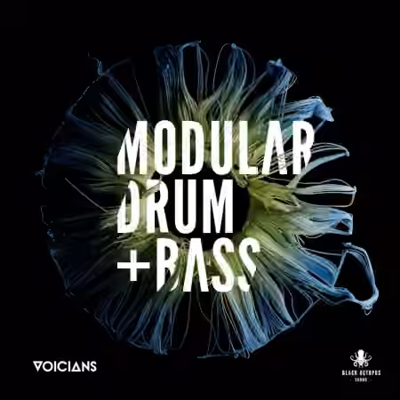Black Octopus Sound Voicians Modular DNB [WAV]