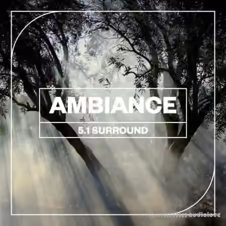 Blastwave FX Ambiance 5.1 Surround [WAV]