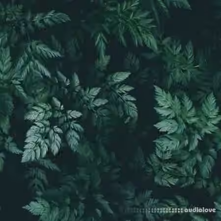 Bruferrbeatz Sage (Drumkit) [WAV]