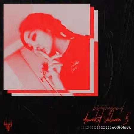 bsterthegawd drumkit Vol.5 [WAV]