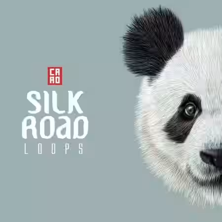 CARO Silk Road Loops [WAV, MiDi]