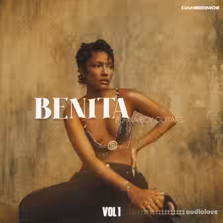 Daneemoe BENITA Burna Boy Guitars Vol.1 [WAV]