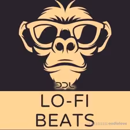 Deep Data Loops Lo-Fi Beats [WAV, MiDi]