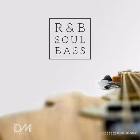 Dm Samples RnB Soul Bass [WAV]