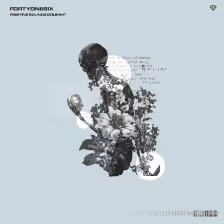FortyOneSix Pristine Sounds Drum Kit [WAV]