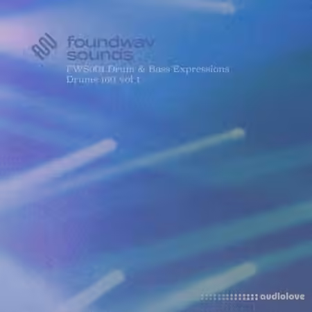 foundwav sounds FWS001 Drum and Bass Expressions Drums 160 Vol 1 [WAV]
