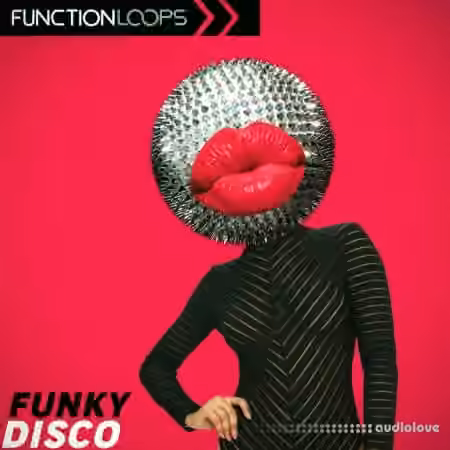 Function Loops Funky Disco [WAV]