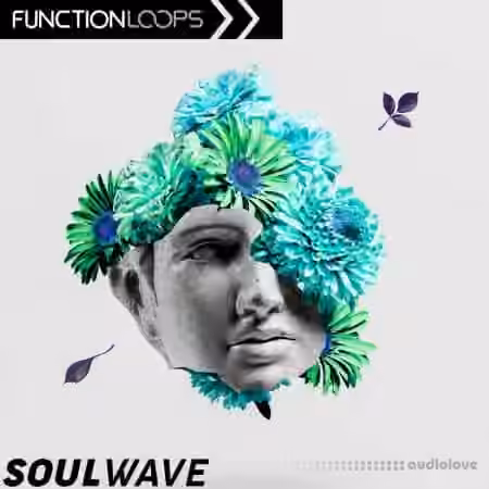 Function Loops Soulwave [WAV, FULL, MiDi]