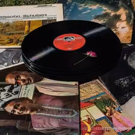 Gibberish Samples BelieverBoom Bap samples, Chopped Soul, Hip Hop (Sample Pack) [WAV]