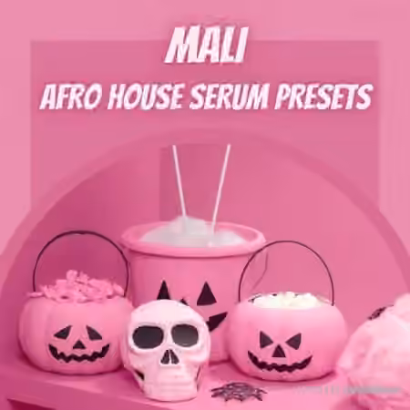 Infinity Audio Mali Afro House Serum Presets [Synth Presets]