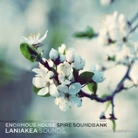 Laniakea Sounds Enormous House Spire Soundbank [Synth Presets]