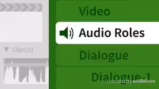 Lynda Final Cut Pro X and Logic Pro X 1 Audio Post Workflow [TUTORiAL]