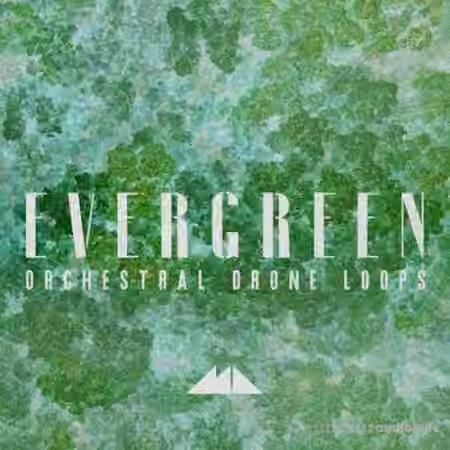 ModeAudio Evergreen Orchestral Drone Loops [WAV]