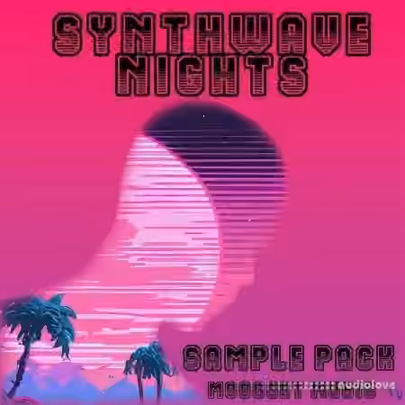 Moodset Music Synthwave Nights [WAV]