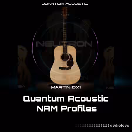 Neutron Studios Martin DX1 NAM PROFILES [Synth Presets]