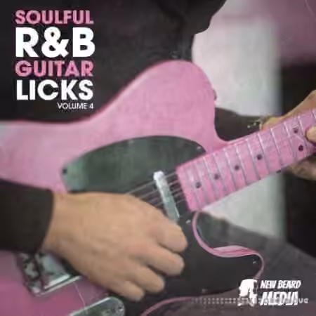 New Beard Media R&B Guitar Licks Vol.4 [WAV]