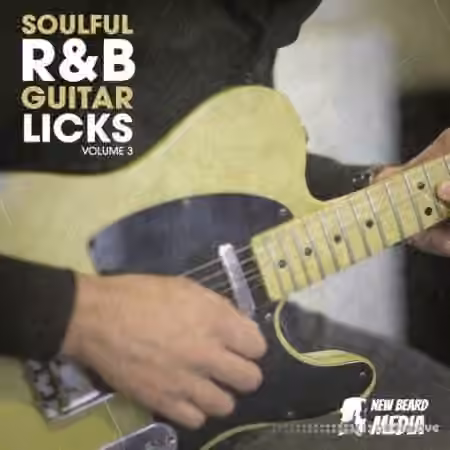 New Beard Media Soulful RnB Guitar Licks Vol.3 [WAV]