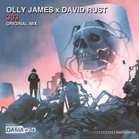 Olly James Signature Sounds Vol.35 303 [WAV, MiDi]