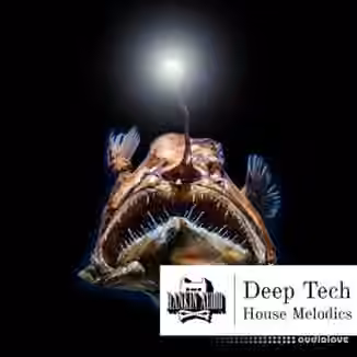 Rankin Audio Deep Tech House Melodics [WAV, MiDi]