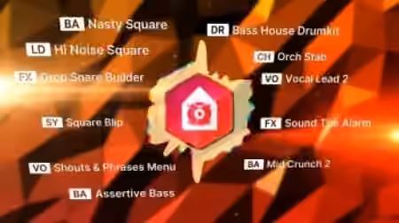 reFX Bass House Nexus 5 Expansion [Synth Presets]
