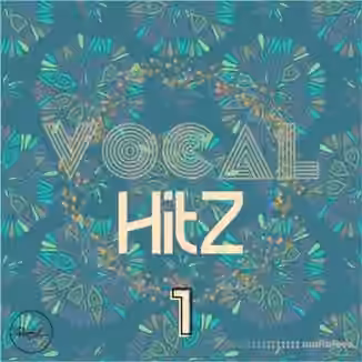Roundel Sounds Vocal Hits Vol.1 [WAV, MiDi]