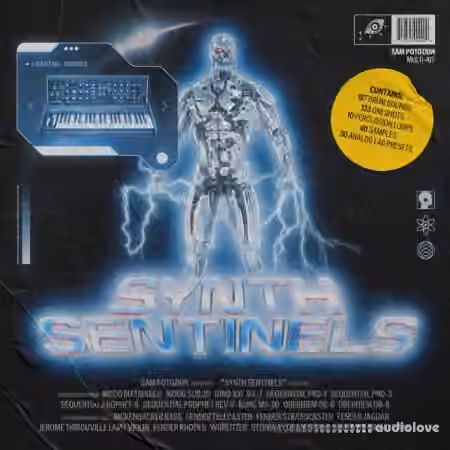 Sam Potozkin Synth Sentinels [WAV, Synth Presets]