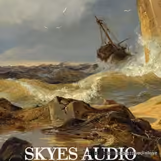 SKYES Audio The Black Sea Library v2.0 [WAV]