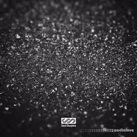 Soul Surplus Jet Black Neo Soul [WAV]