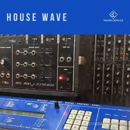 Sound Capsule House Wave [WAV]