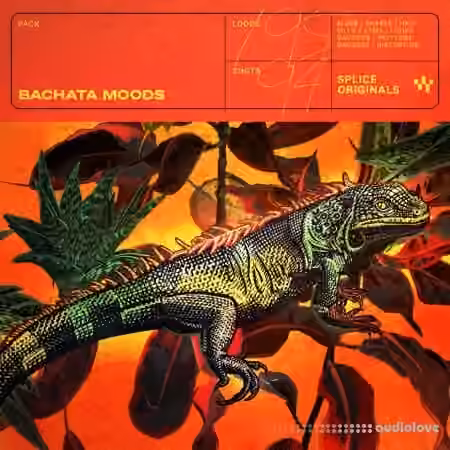 Splice Originals Bachata Moods [WAV]