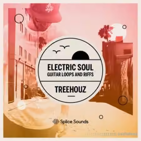 Splice Sounds Electric Soul Guitar Loops and Riffs by Treehouz [WAV]