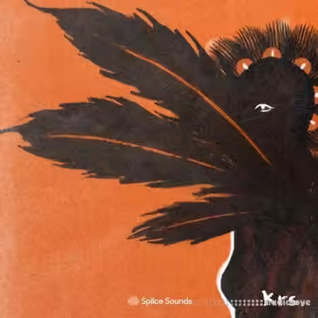Splice Sounds krs. Build a Vybz Drum Kit Vol.2 [WAV, MiDi]
