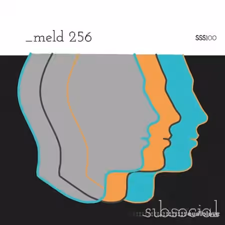 Subsocial Studios SSS100 _meld 256 [DAW Templates]