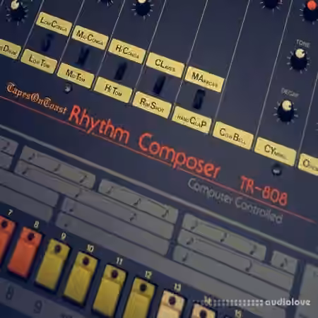 TapesOnToast 808 Drum Kit [WAV] - Sample Pack Artwork