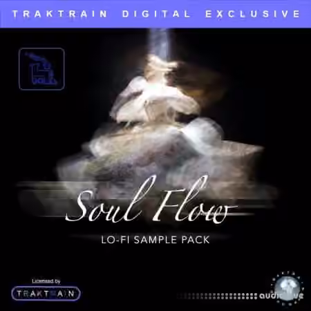 TrakTrain Soul Flow Lo-Fi Sample Pack [WAV]