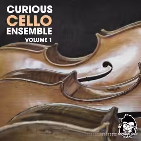 Vanilla Groove Studios Curious Cello Ensemble Vol.1 [WAV]