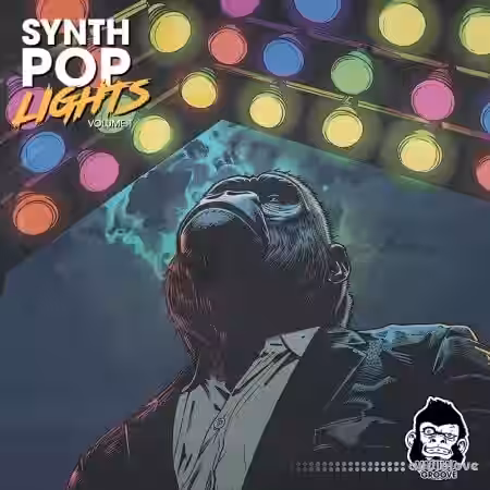 Vanilla Groove Studios Synth Pop Lights Vol.1 [WAV]