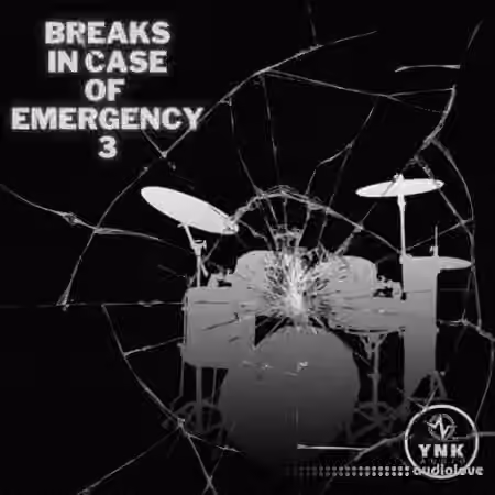 YnK Audio Breaks In Case of Emergency 3 [WAV]